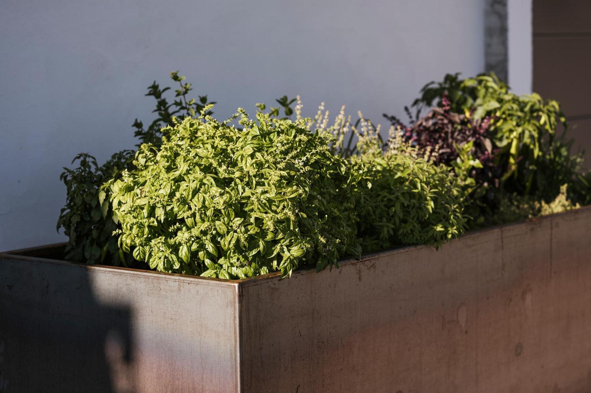 Platterhof Apartment Hafling Bagian luar foto